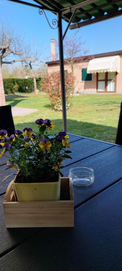 Appartamenti Da Michela Cavallino-Treporti Bagian luar foto